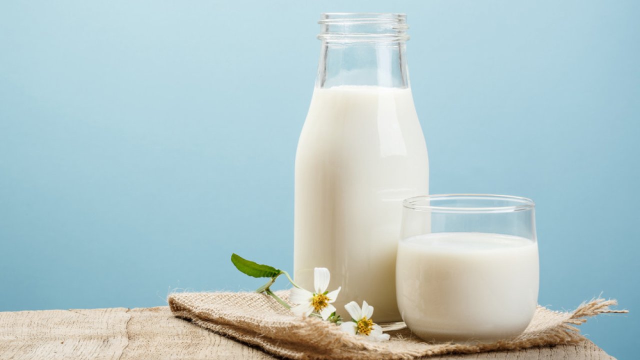 Dieta del latte