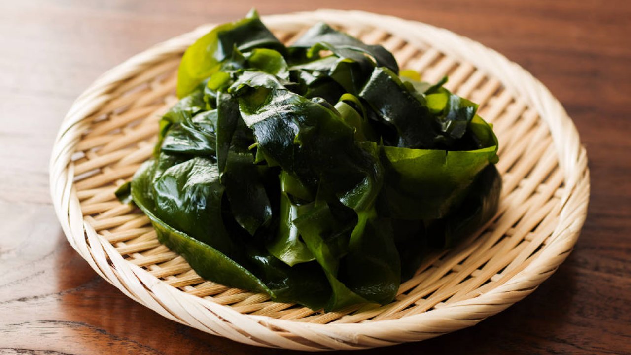 Alga wakame