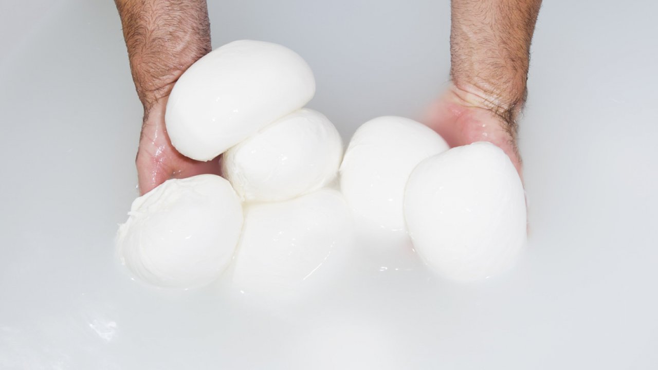 Il pandoro di mozzarella, re delle feste