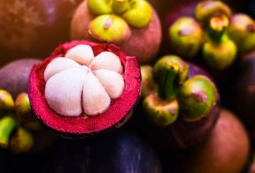 Mangostano