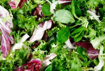 Conservare l'insalata: i trucchi