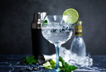 Gin