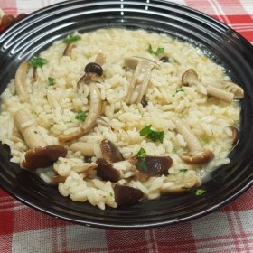  RISOTTO AI PIOPPINI