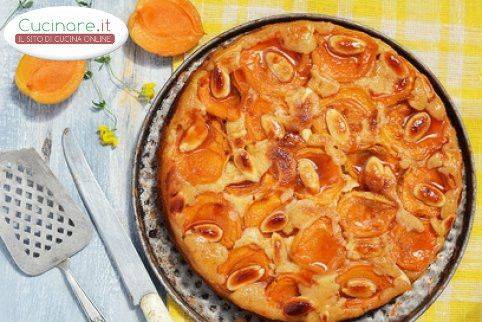 Crostata alle Albicocche