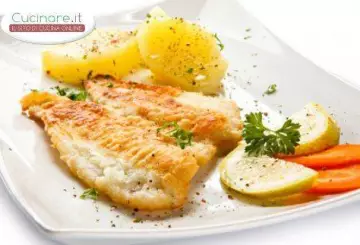ROMBO GRATINATO