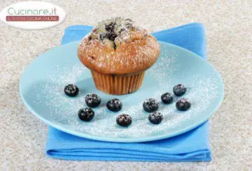 AMERICAN MUFFIN