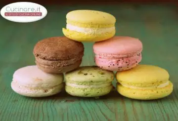 MACARONS MULTICOLOR