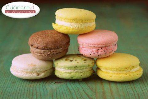 Macarons Multicolor