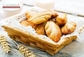 MADELEINE