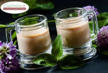 RICETTA BAILEYS FATTO IN CASA