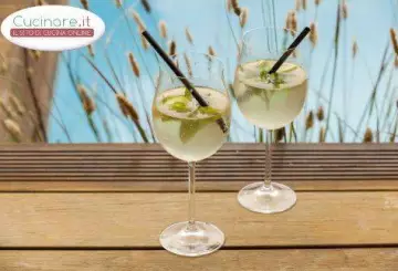 COCKTAIL HUGO