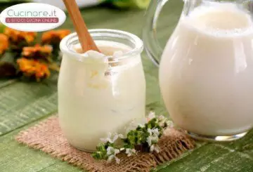 YOGURT BIANCO