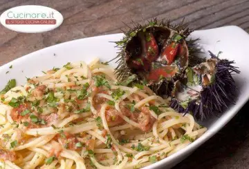 PASTA CON POLPA DI RICCIO