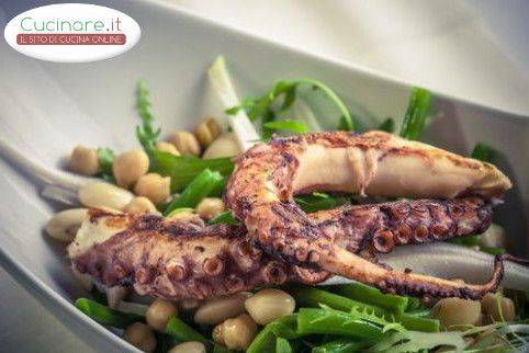 Polpo con Legumi e Rucola