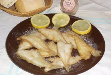 FRITTURA SFIZIOSA DI ZANCHETTE