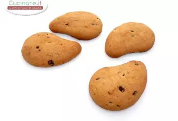 GOCCIOLE
