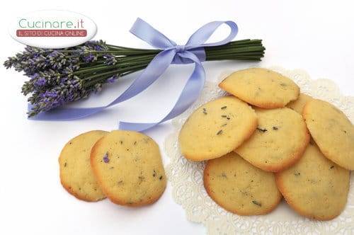 Biscotti ai Fiori di Lavanda