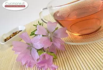 INFUSO DI MALVA