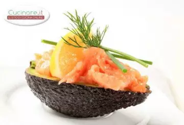 AVOCADO DELLE ANTILLE