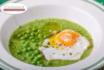 MINESTRA GREEN
