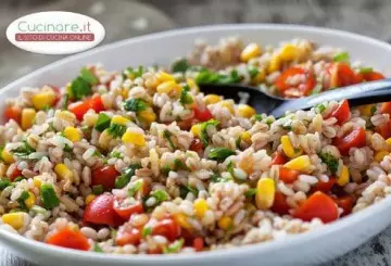 ORZO ALLE VERDURE