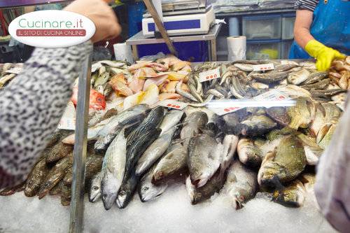 Pesce fresco come riconoscerlo