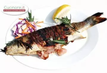 CARPA REGINA CON PORCHETTA