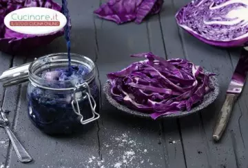 CAVOLO CAPPUCCIO VIOLA SOTTACETO