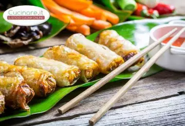 INVOLTINI PRIMAVERA