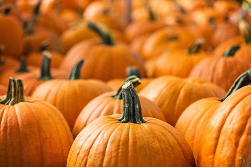 Pulire e Tagliare la Zucca