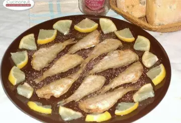 FRITTURA DI MOLLI