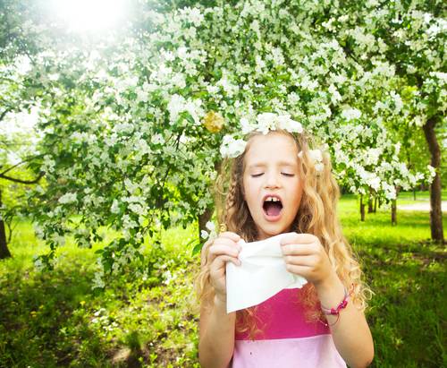 Allergie al polline cibi da evitare