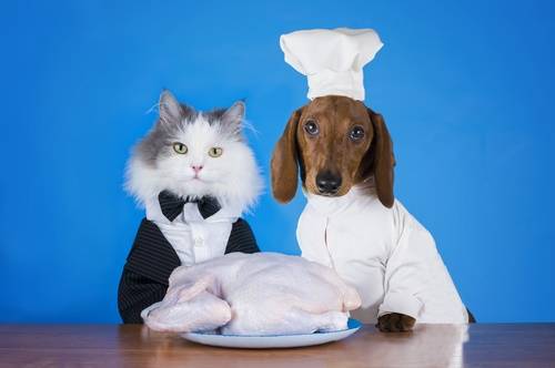 Chef per cani e gatti