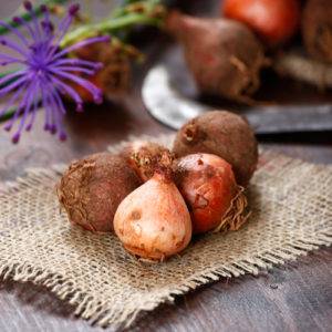 Lampascioni sott'olio preparazione 0