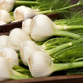 FINOCCHI, L'ORTAGGIO PER RICETTE A SORPRESA