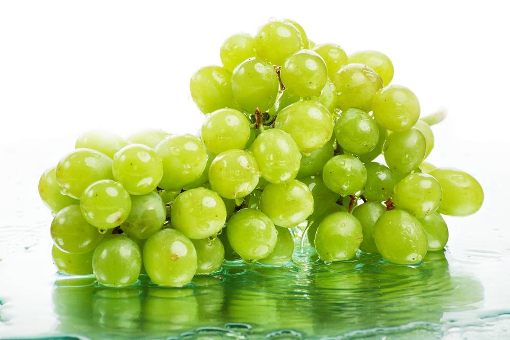 Lavare i grappoli di uva e come sceglierli freschi