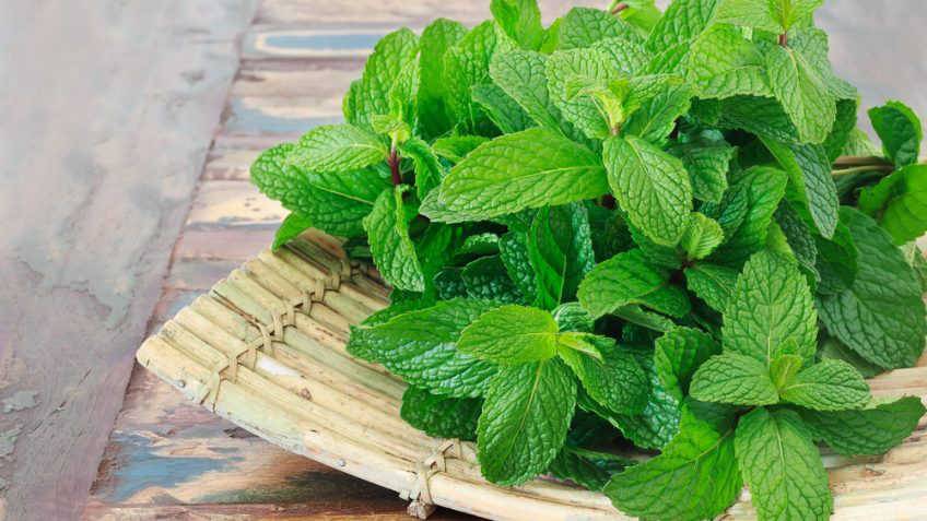 Lavare La Menta E Consigli Su Come Sceglierla Cucinare it