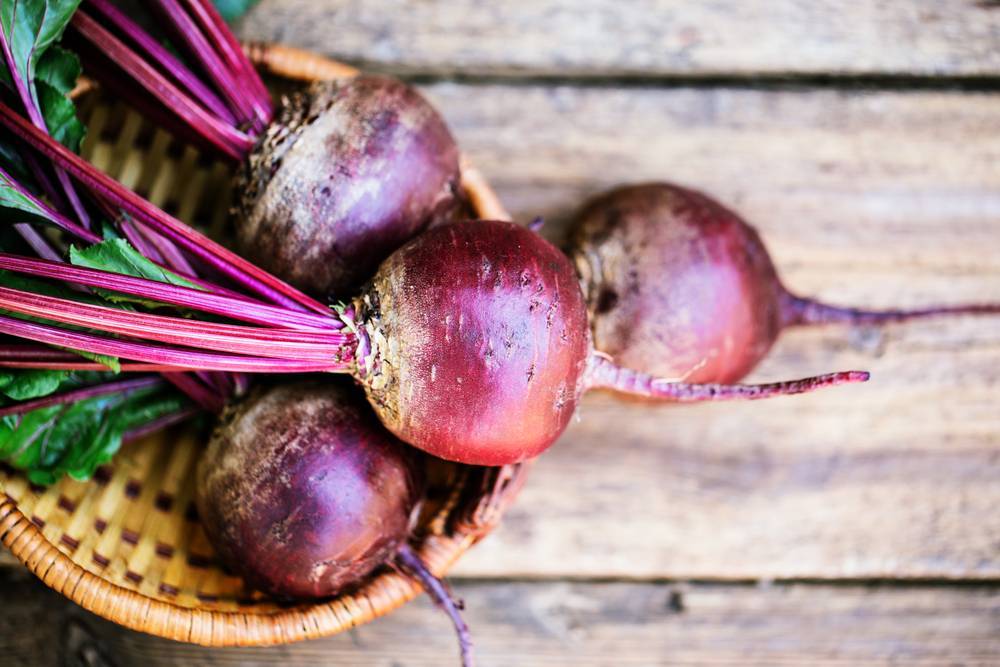 Bietole: varietà, proprietà e come usarle in cucina