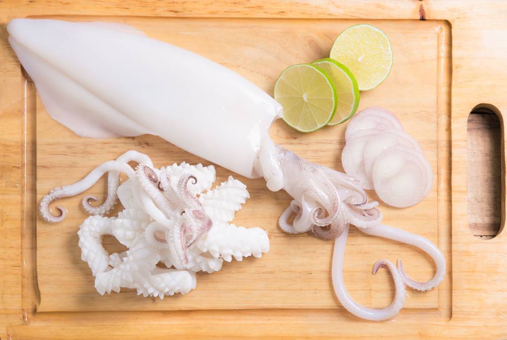 Calamari, origini e curiosità sul mollusco di Moby Dick