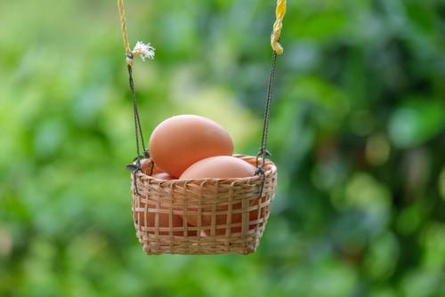 Come leggere le etichette delle uova