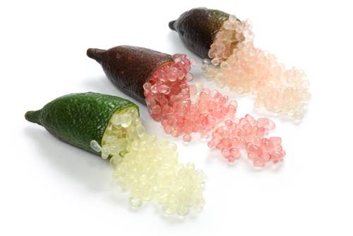 Il finger lime, uno strano frutto amato dagli chef