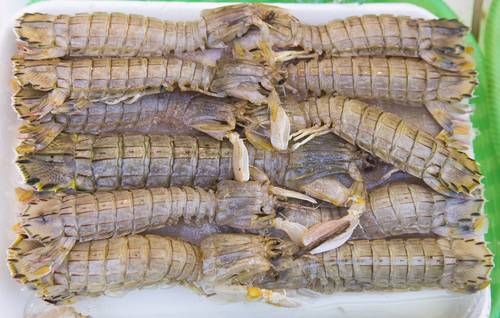 Come Pulire Le Cicale Di Mare O Canocchie Cucinare It