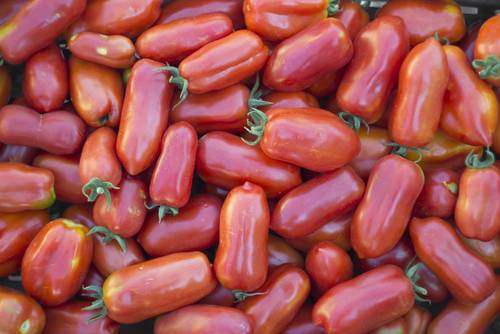 Qualità di pomodori, i più diffusi in Italia