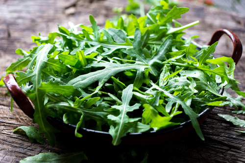 Rucola o ruchetta, la pianta che fa innamorare