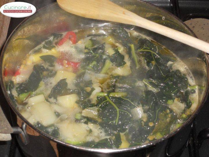 Minestra rustica di cavolo nero, lenticchie rosse e mirto preparazione 6