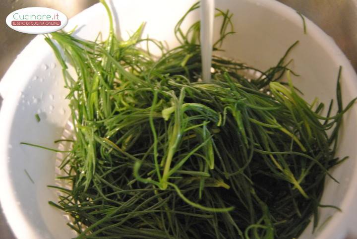 Pasta con agretti e speck preparazione 0