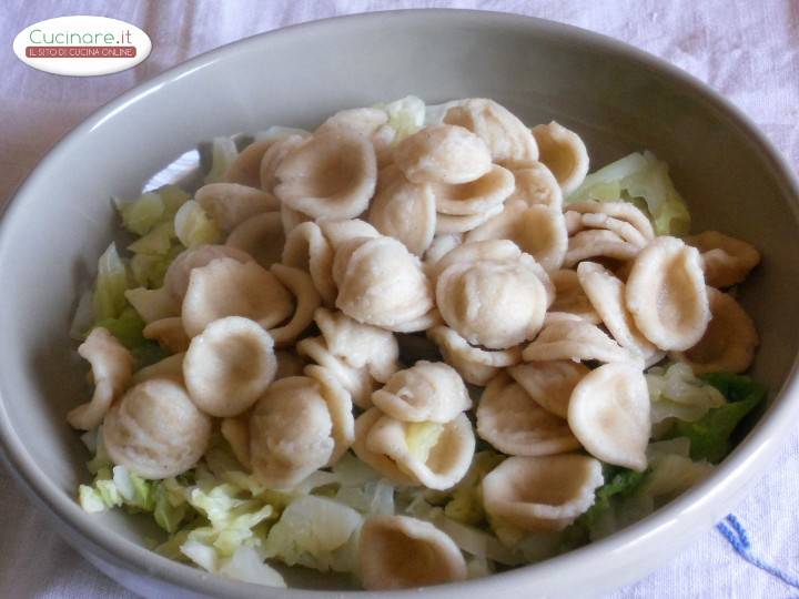 Orecchiette integrali con la Verza preparazione 6