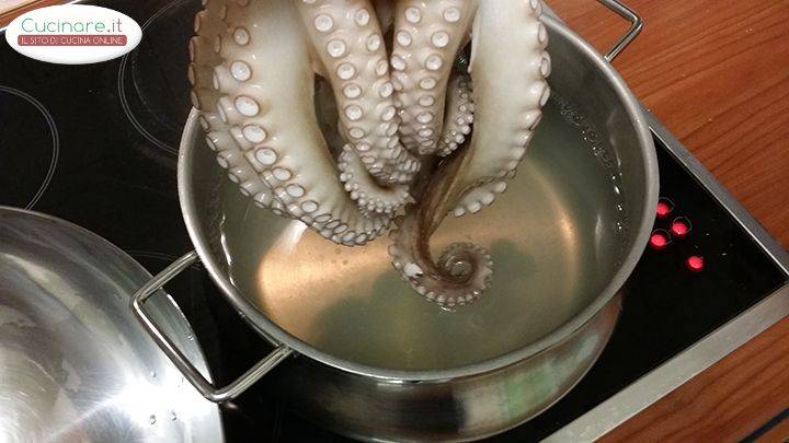 Ricetta polpo all'insalata preparazione 5