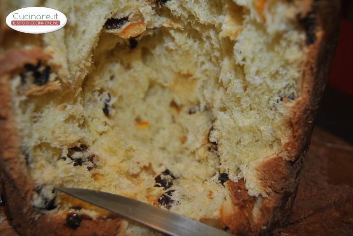 Presepe di Panettone preparazione 2